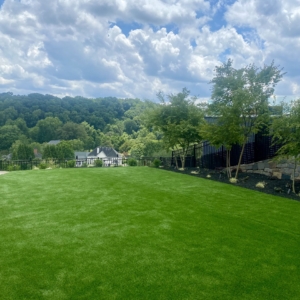 Sod Installation and Softscaping